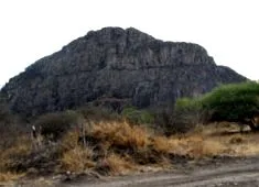 diagnosticarea