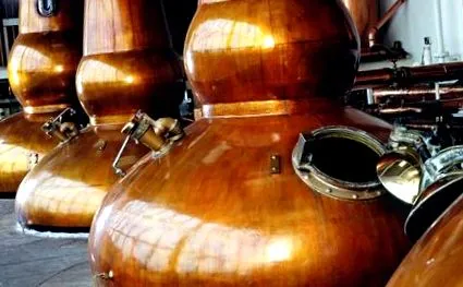 vychutnajte vychutnajte