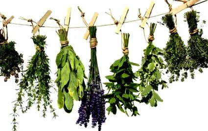 detoxifiantă cură