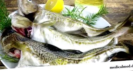 hasznos burbot