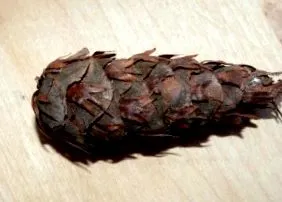 medicinale