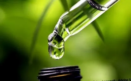 dmso