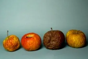 обрасци