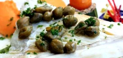 tilapia