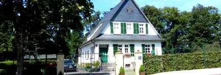 tanácsadó