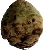 здрави