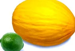 szakember