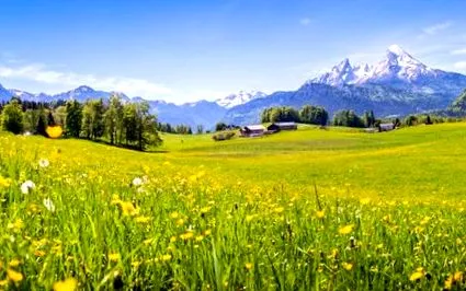 alpesi