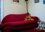 парацельс