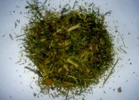 călătorie