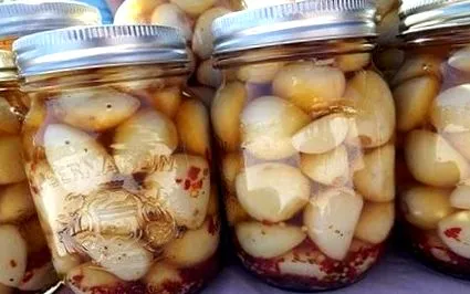 живот домашни