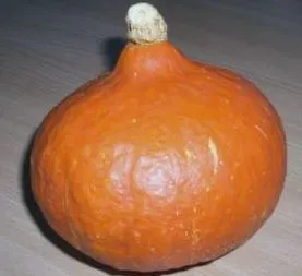 biológia