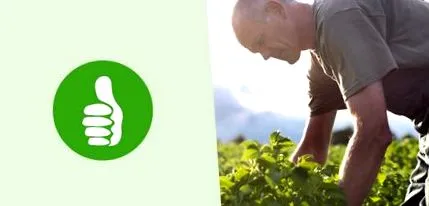 HiPP organikus