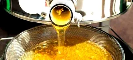 propolis