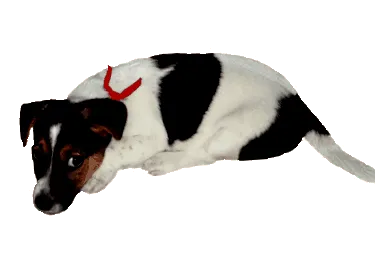 недостатоци