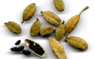 cardamom
