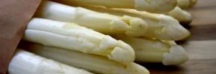 sparanghelului