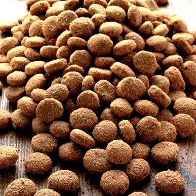 specială proteina