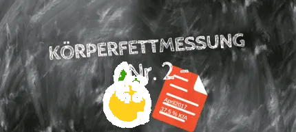 testzsír százalékos