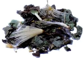 marianum