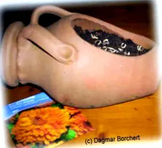 gyönyörű