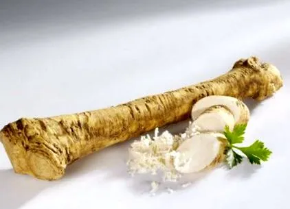 лікарських