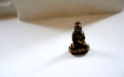 practică