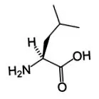 aminosavakról bcaa-k