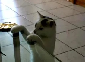 hírek