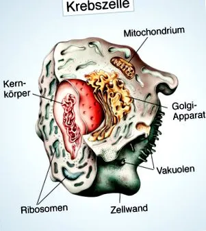 simptome