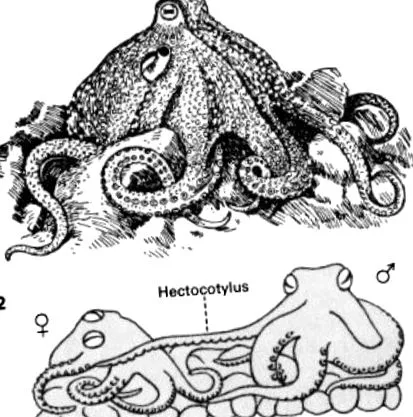 biológia