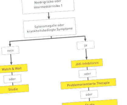 myelofibrosis