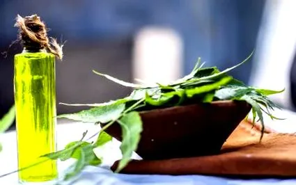 neem