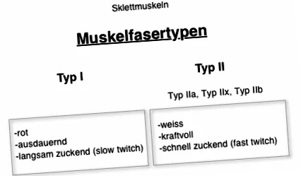 áttekintés