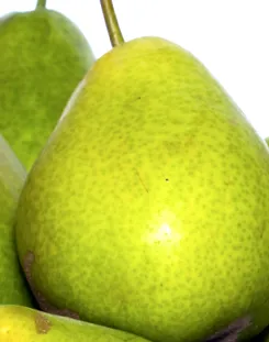 görög