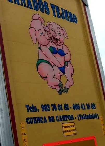 comidista