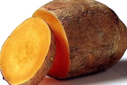 храни