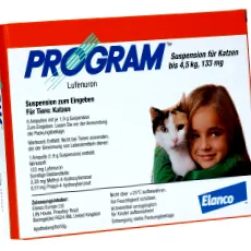 program
