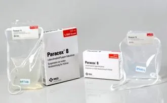 animal înainte vaccinare