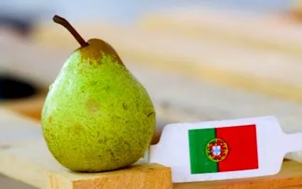 portugáliából