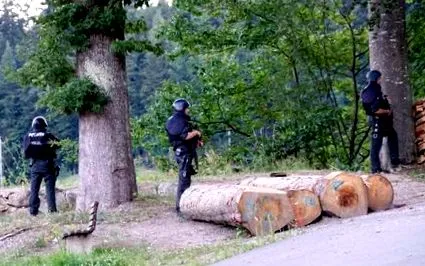 fekete-erdő