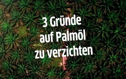csak