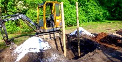 plantarea