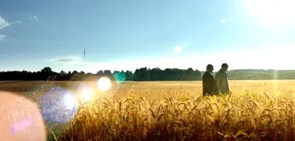 цени