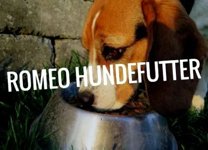 kutyaeledel snack