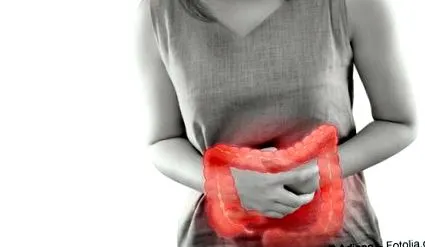 intestinului