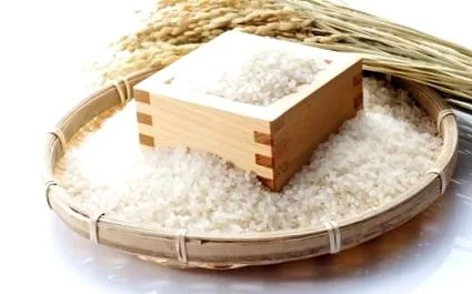 oryza
