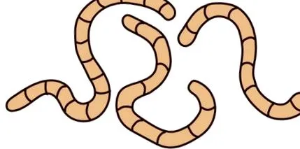 mahmureală