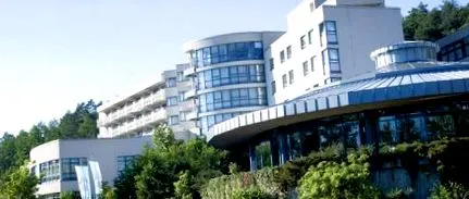 rehabilitáció