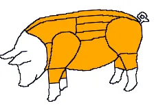 свињарвин